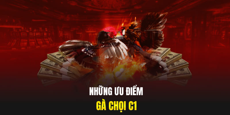 Những ưu điểm gà chọi C1